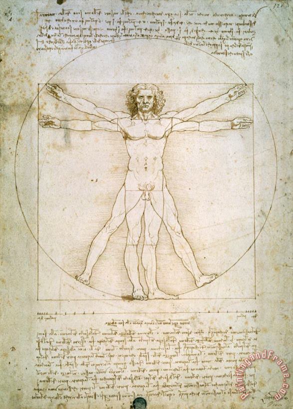 Leonardo da Vinci The Proportions of the human figure Art Painting