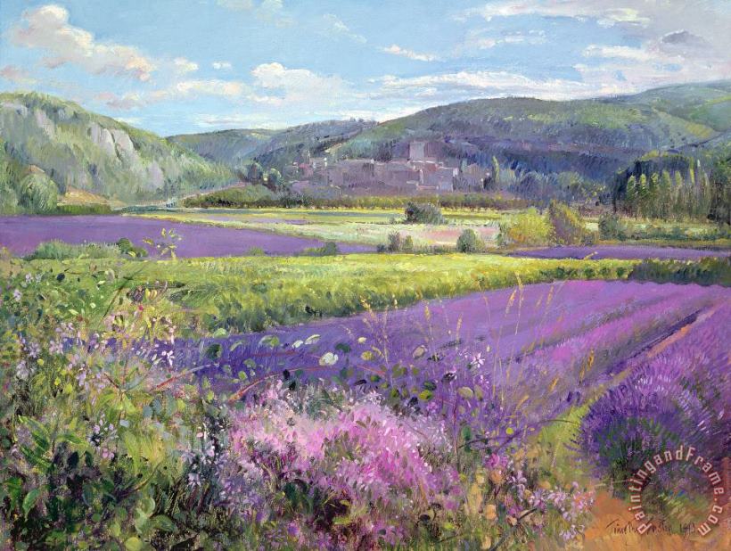 Timothy Easton Lavender Fields in Old Provence Art Painting