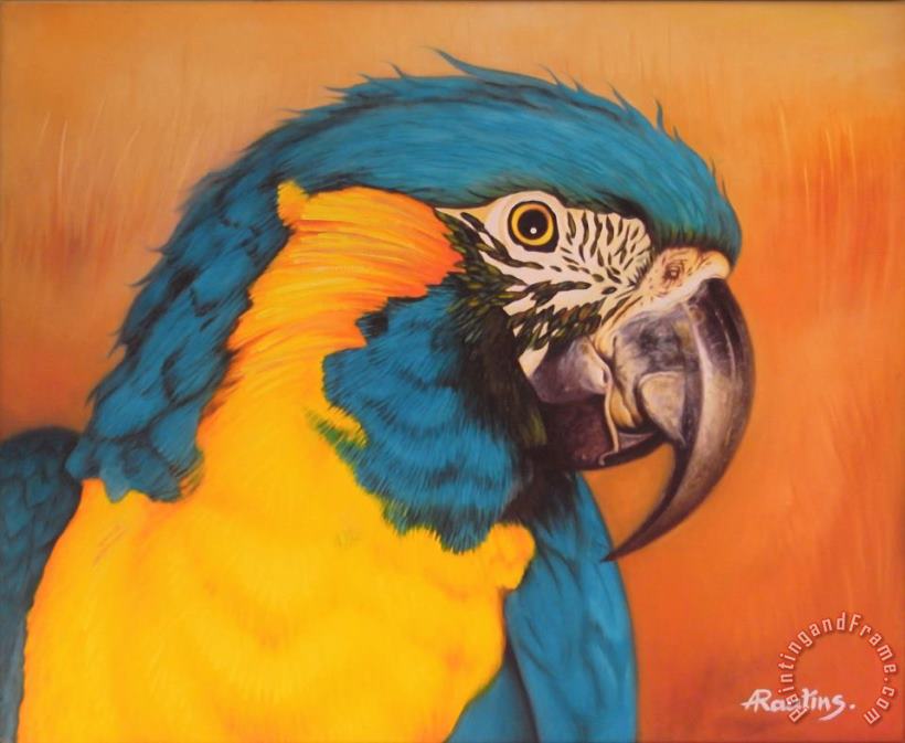 Blue-and-yellow macaw painting - Agris Rautins Blue-and-yellow macaw Art Print