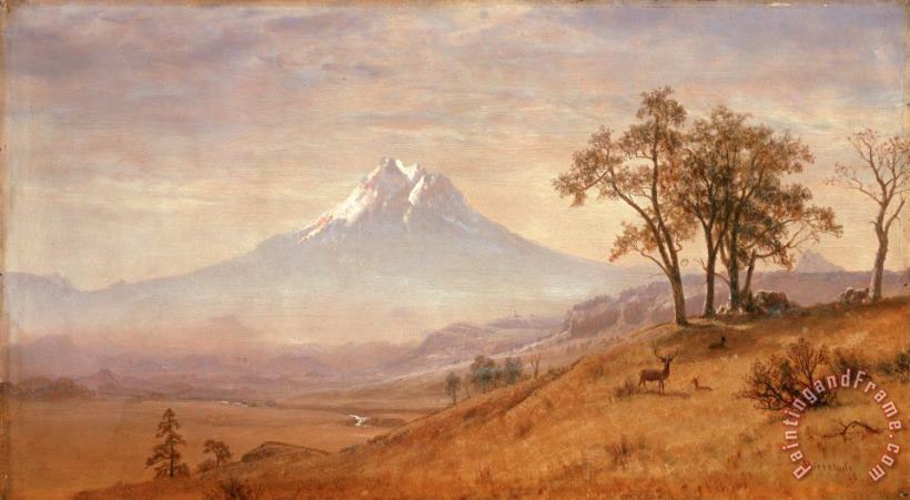 Mount Hood painting - Albert Bierstadt Mount Hood Art Print