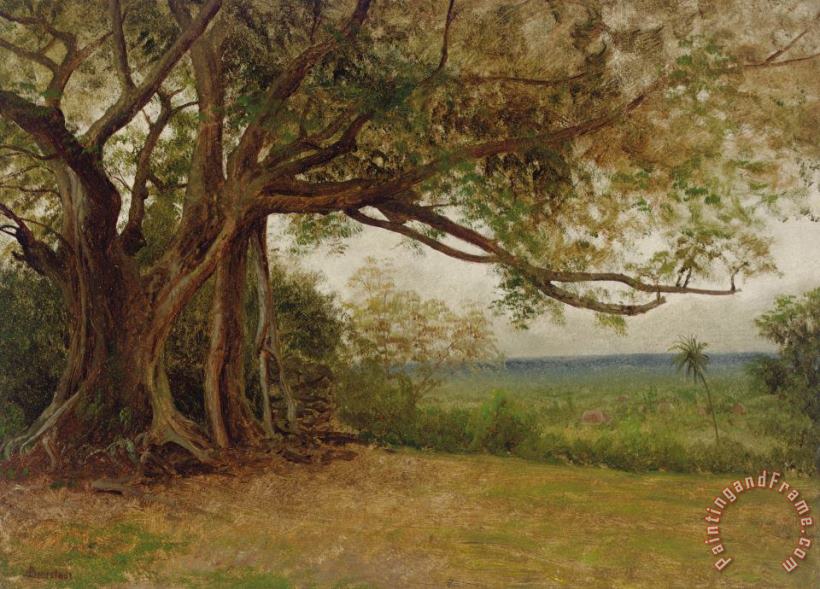 Albert Bierstadt The Landing Of Columbus Art Painting