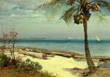 Tropical Coast by Albert Bierstadt