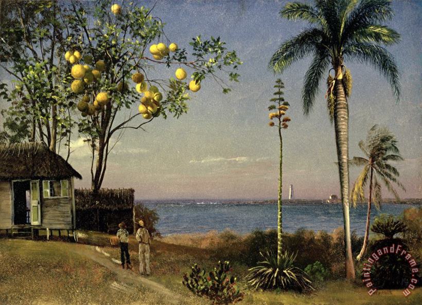 Albert Bierstadt Tropical Scene Art Print