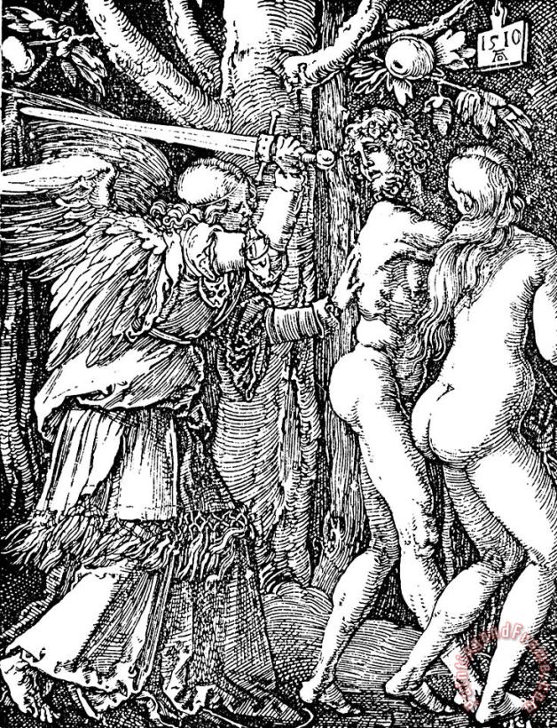 Albrecht Durer Adam And Eve Etching By Albrecht Durer Art Painting