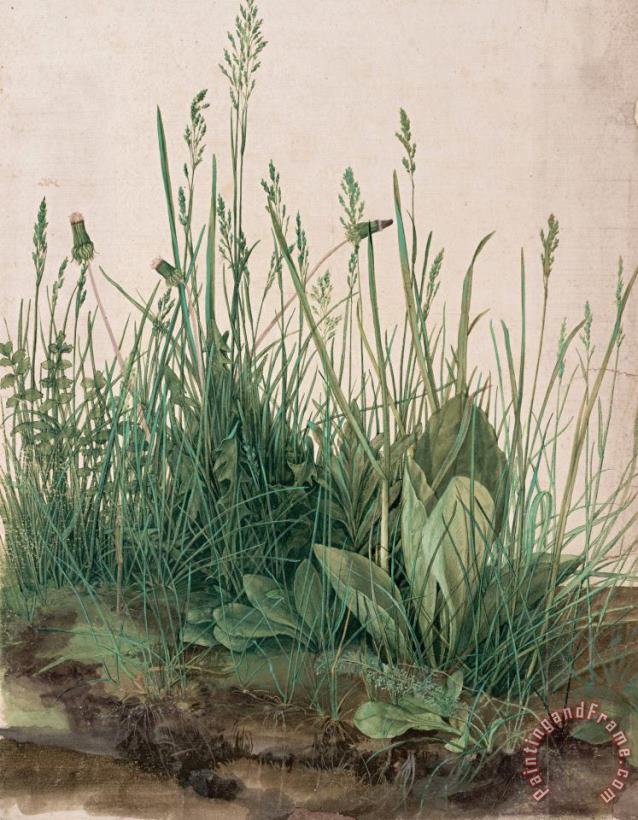 The Large Piece of Turf, 1503 painting - Albrecht Durer The Large Piece of Turf, 1503 Art Print
