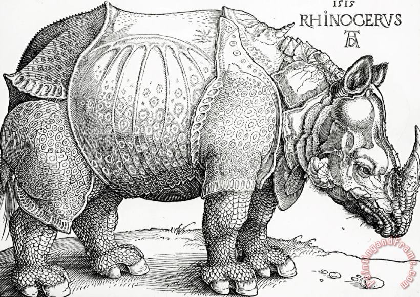 Albrecht Durer The Rhinoceros Art Painting