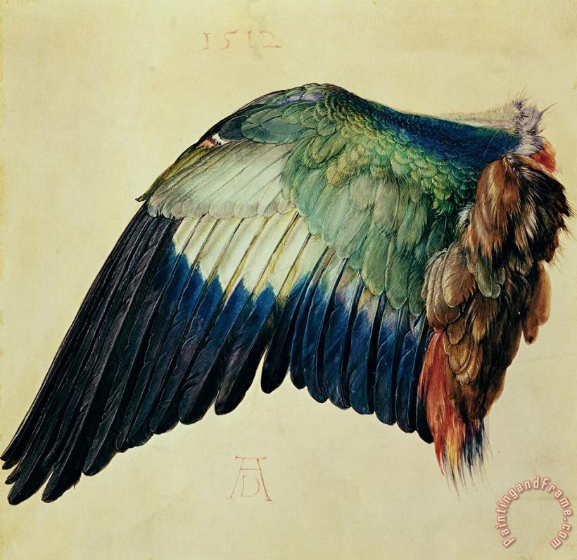 Albrecht Durer Wing of a Blue Roller Art Print
