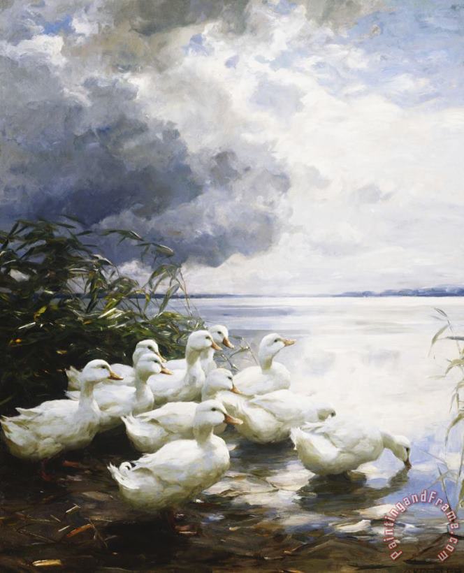Alexander Max Koester Ducks at The Lake's Edge Art Painting