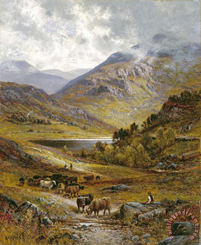 Alfred Augustus Glendening Longhorn Cattle Art Print