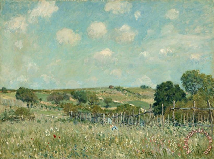 Meadow painting - Alfred Sisley Meadow Art Print