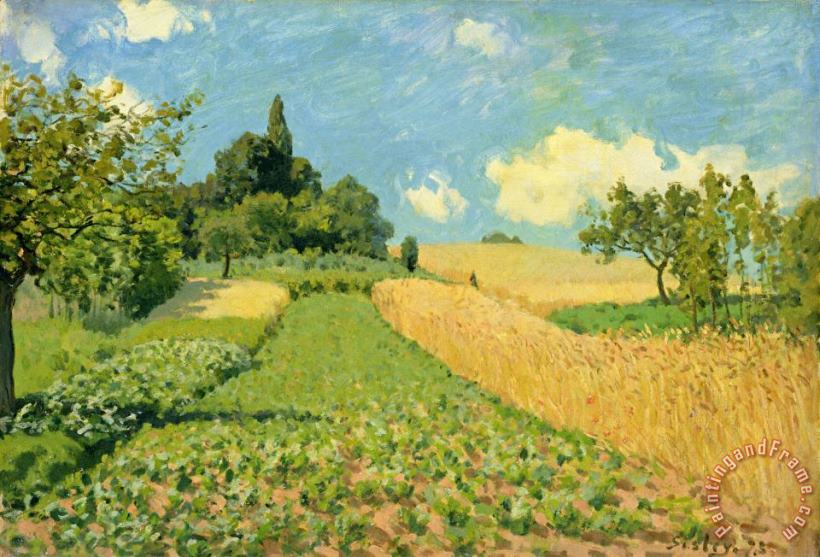 The Cornfield (near Argenteuil) painting - Alfred Sisley The Cornfield (near Argenteuil) Art Print