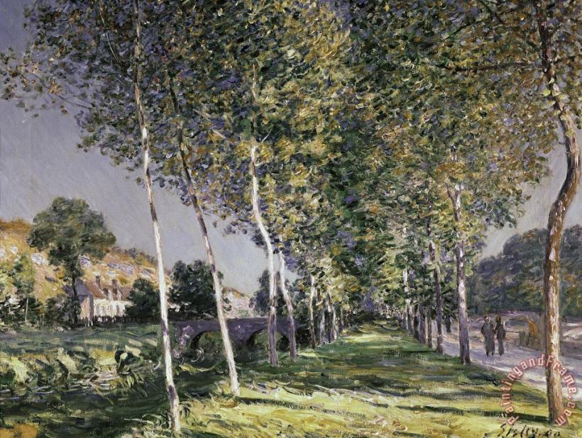 The Walk painting - Alfred Sisley The Walk Art Print