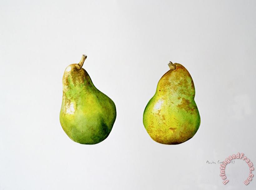 Alison Cooper A Pair of Pears Art Print