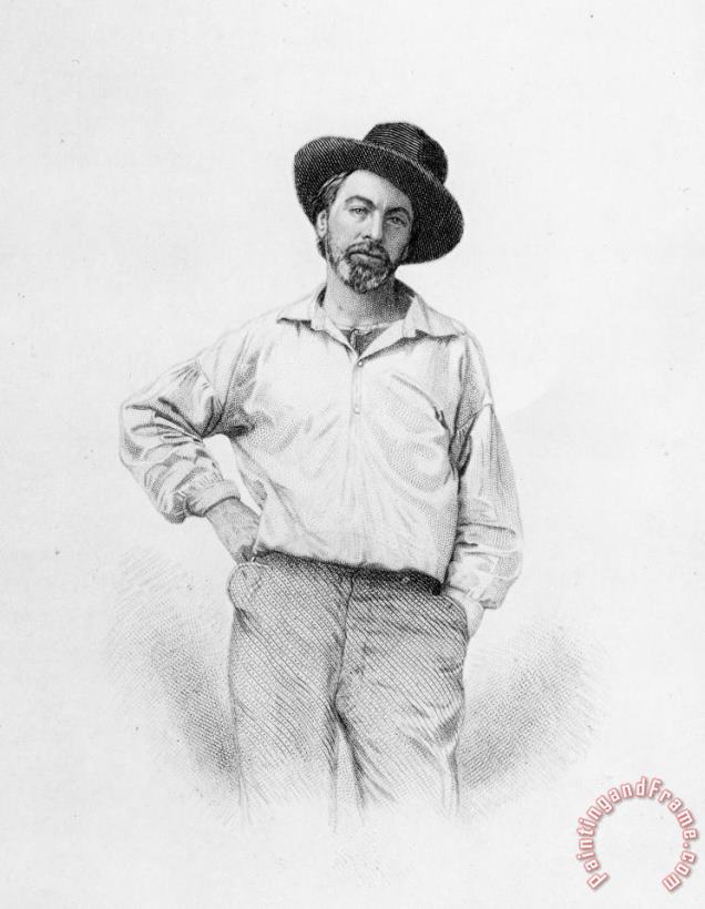 Walt Whitman Frontispiece To Leaves Of Grass painting - American School Walt Whitman Frontispiece To Leaves Of Grass Art Print
