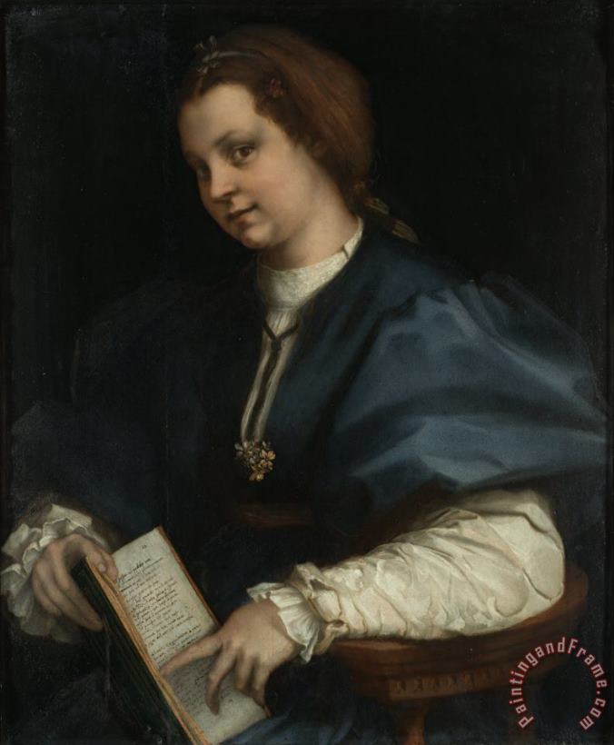 Lady with a Book of Petrarch's Rhyme painting - Andrea del Sarto Lady with a Book of Petrarch's Rhyme Art Print