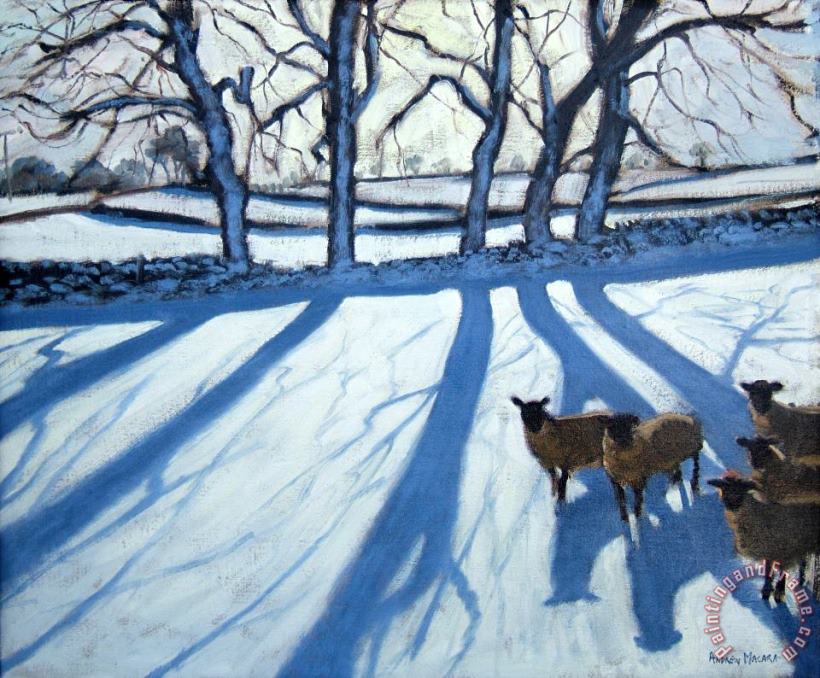 Sheep in snow painting - Andrew Macara Sheep in snow Art Print