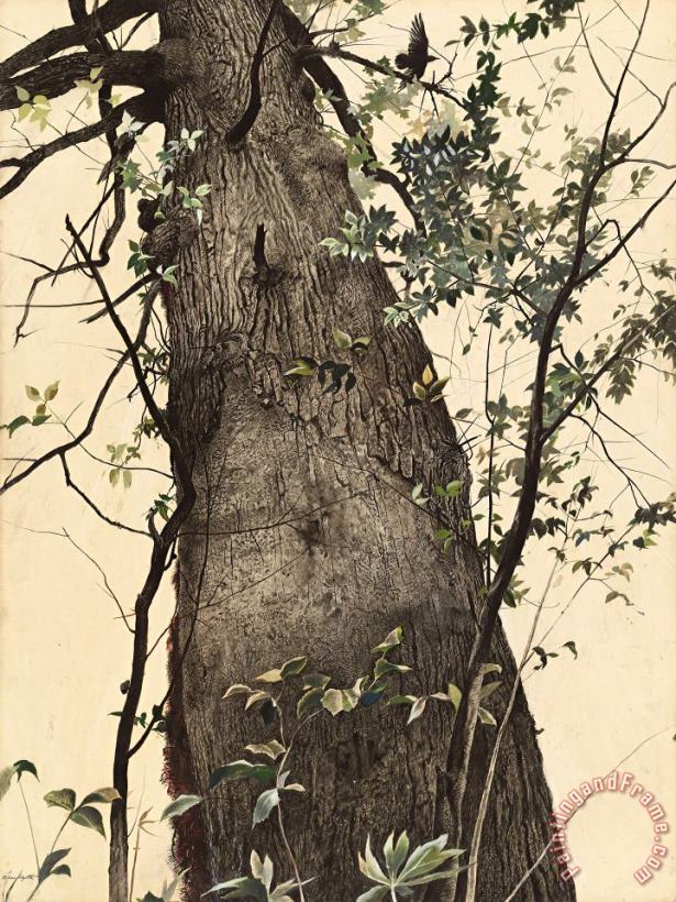 andrew wyeth The Oak, 1944 Art Print