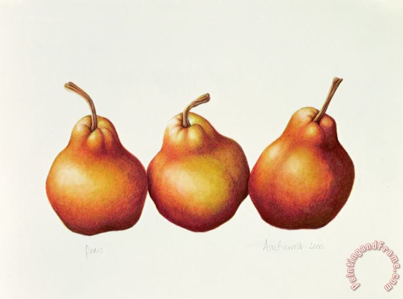 Annabel Barrett Pears Art Print