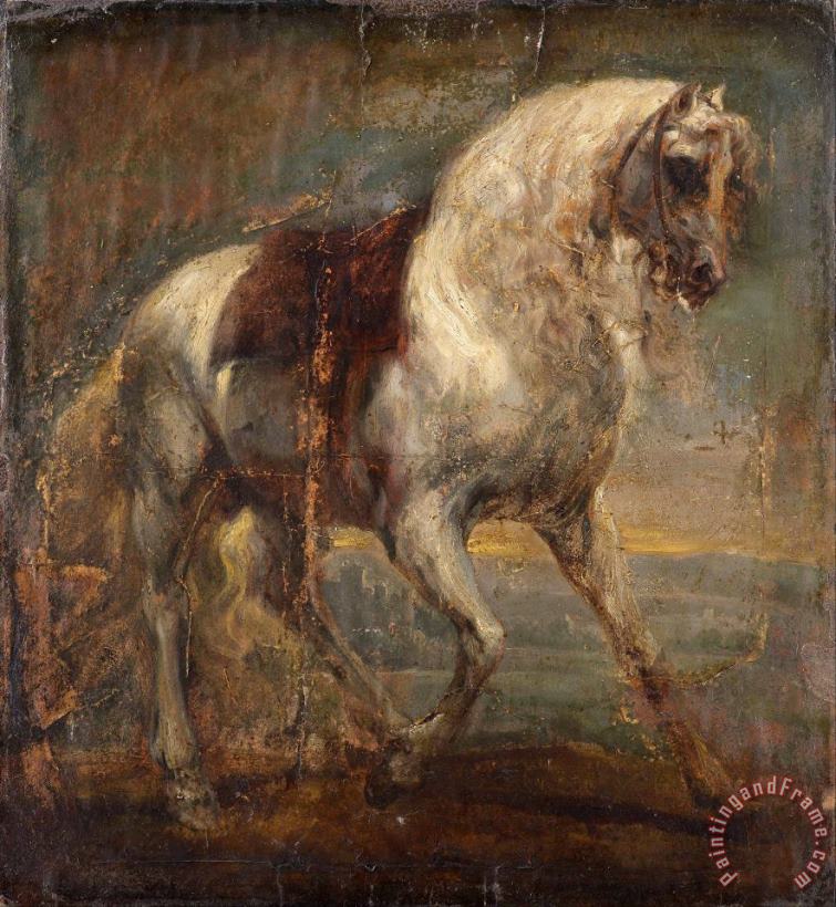 Anthonie Van Dyck A Grey Horse Art Print