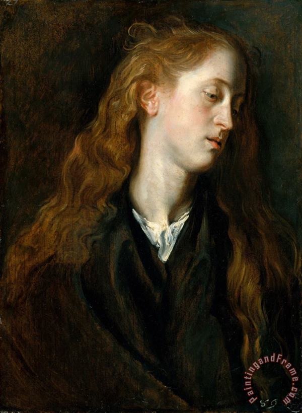 Study Head of a Young Woman painting - Anthony van Dyck Study Head of a Young Woman Art Print