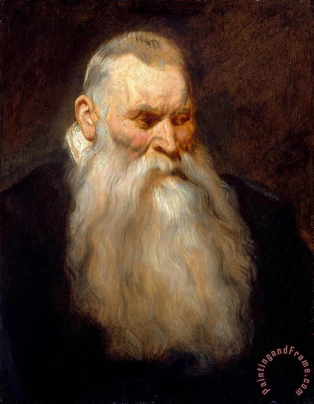 Anthony van Dyck Study Head of an Old Man with a White Beard Art Print