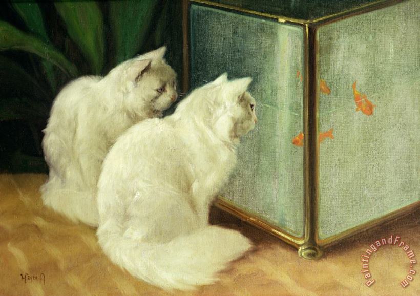 Arthur Heyer White Cats Watching Goldfish Art Painting
