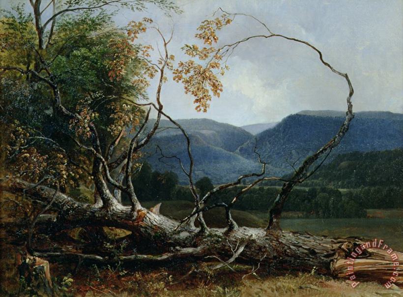 Stratton Notch - Vermont painting - Asher Brown Durand Stratton Notch - Vermont Art Print