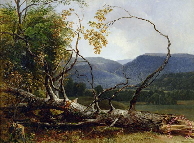 Study from Nature - Stratton Notch painting - Asher Brown Durand Study from Nature - Stratton Notch Art Print