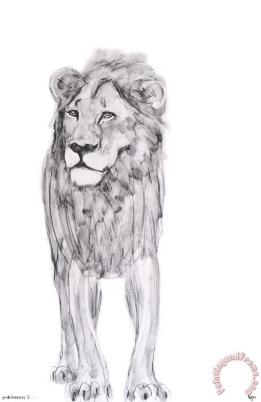 ausue Lion Art Print