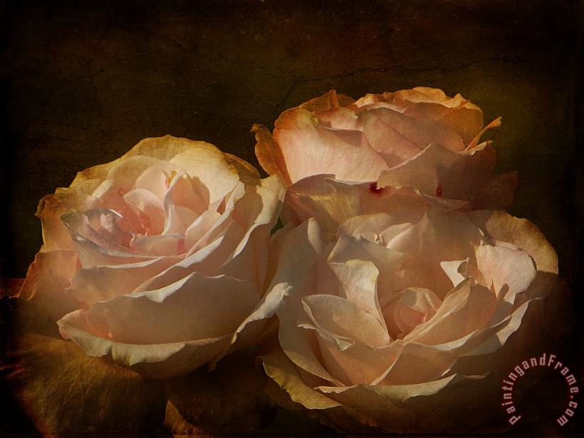 Vintage Rose painting - Blair Wainman Vintage Rose Art Print