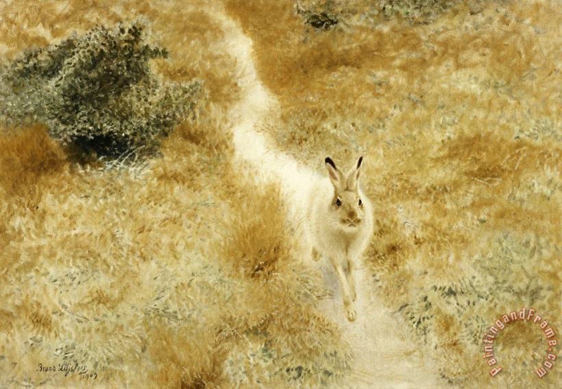 A Winter Hare in a Landscape painting - Bruno Liljefors A Winter Hare in a Landscape Art Print