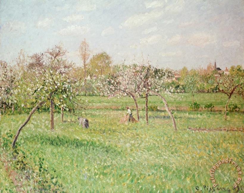 Camille Pissarro Apple Trees at Gragny Art Painting