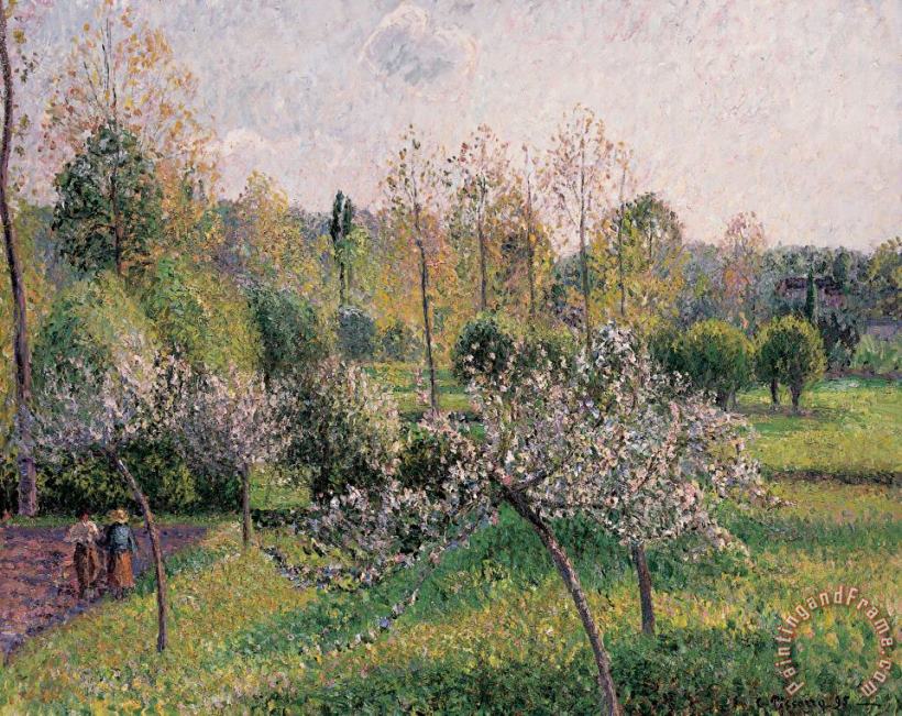 Camille Pissarro Apple Trees In Blossom Art Print