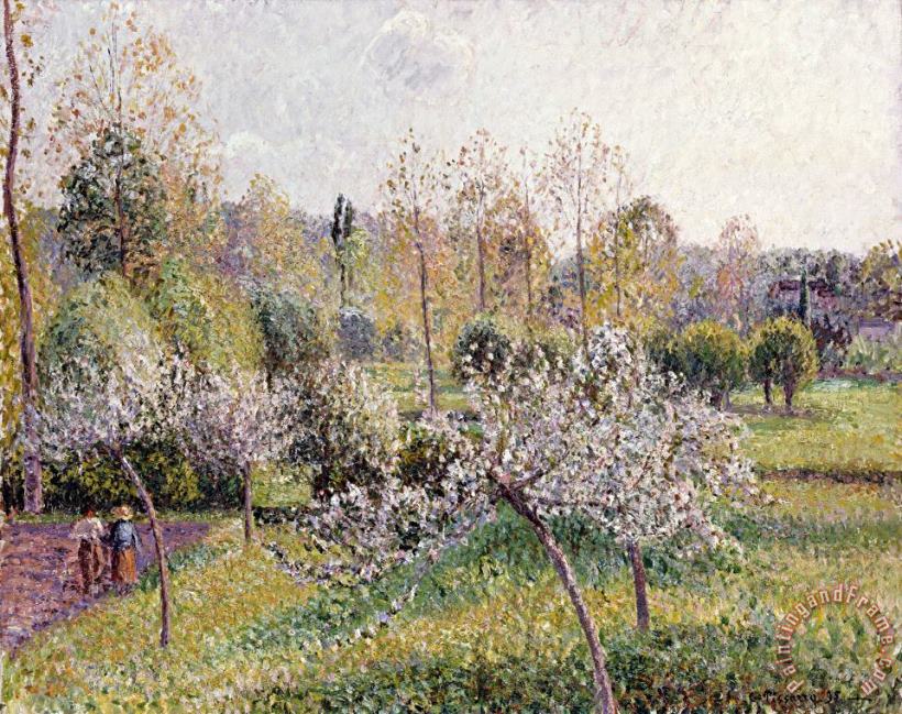 Apple Trees in Blossom, Eragny painting - Camille Pissarro Apple Trees in Blossom, Eragny Art Print