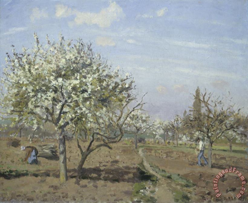 Orchard in Bloom, Louveciennes painting - Camille Pissarro Orchard in Bloom, Louveciennes Art Print