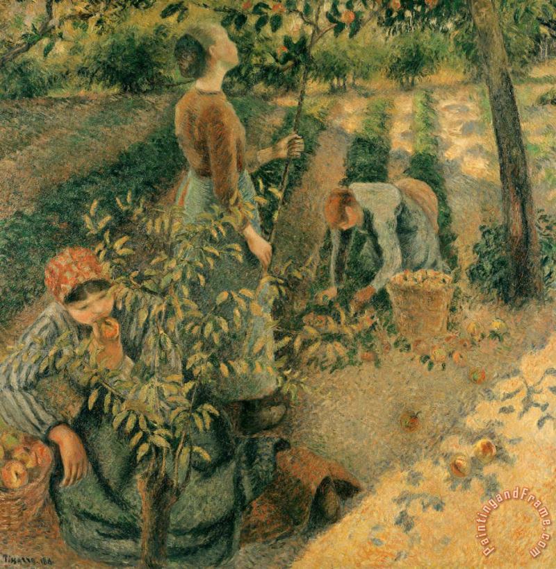 The Apple Pickers painting - Camille Pissarro The Apple Pickers Art Print