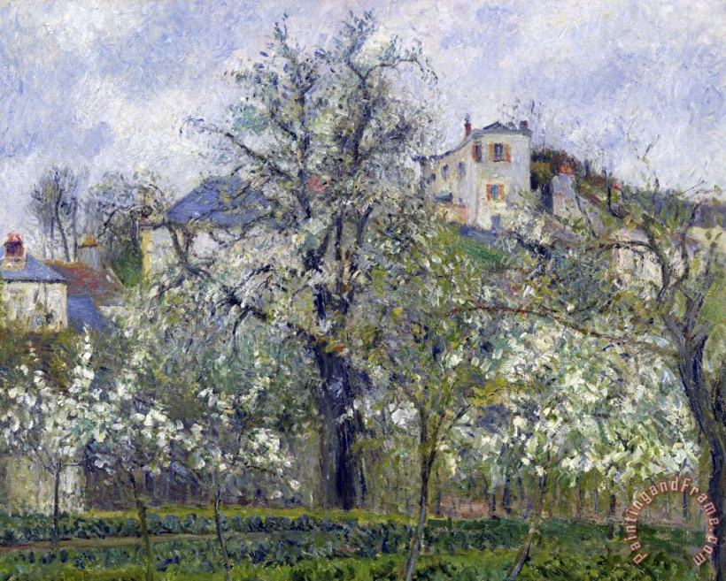 The Vegetable Garden with Trees in Blossom, Spring, Pontoise painting - Camille Pissarro The Vegetable Garden with Trees in Blossom, Spring, Pontoise Art Print