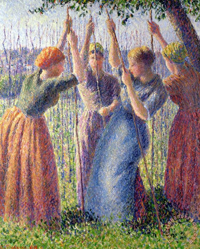 Women Planting Peasticks painting - Camille Pissarro Women Planting Peasticks Art Print