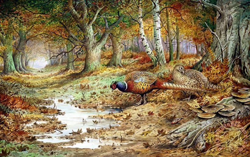 Carl Donner Cock Pheasant and Sulphur Tuft Fungi Art Painting