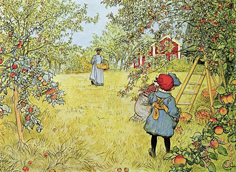 Carl Larsson The Apple Harvest Art Print