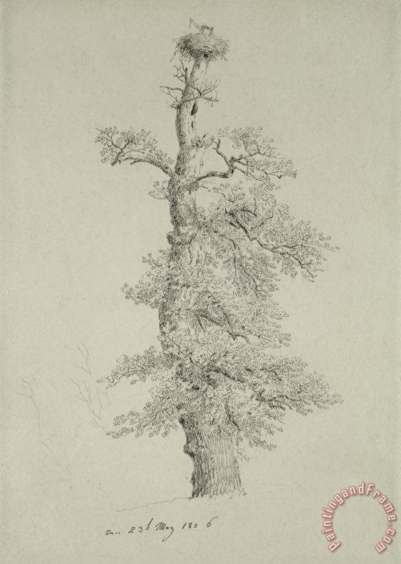 Caspar David Friedrich Ancient Oak Tree With A Storks Nest Art Painting