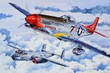 Tuskegee Airman by Charles Taylor