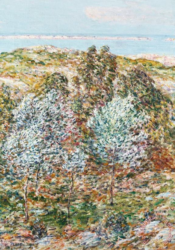 Springtime Vision painting - Childe Hassam Springtime Vision Art Print