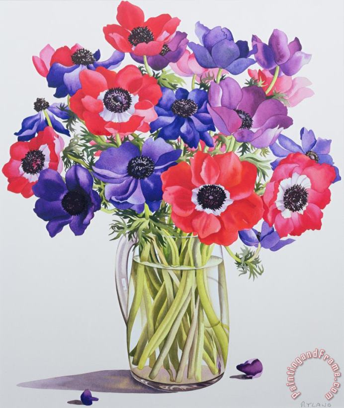 Anemones In A Glass Jug painting - Christopher Ryland Anemones In A Glass Jug Art Print