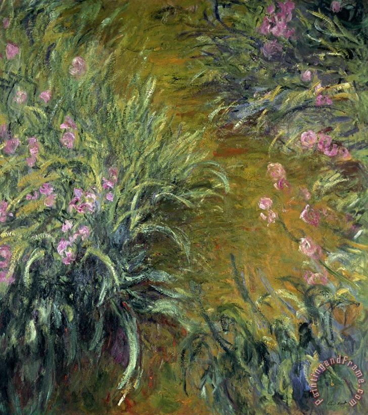 Claude Monet Iris Art Print