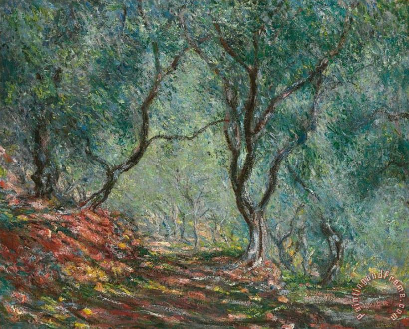 Claude Monet Olive Trees in the Moreno Garden Art Painting