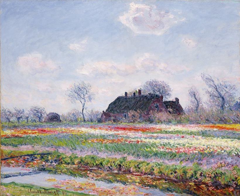 Claude Monet Tulip Fields at Sassenheim Art Print