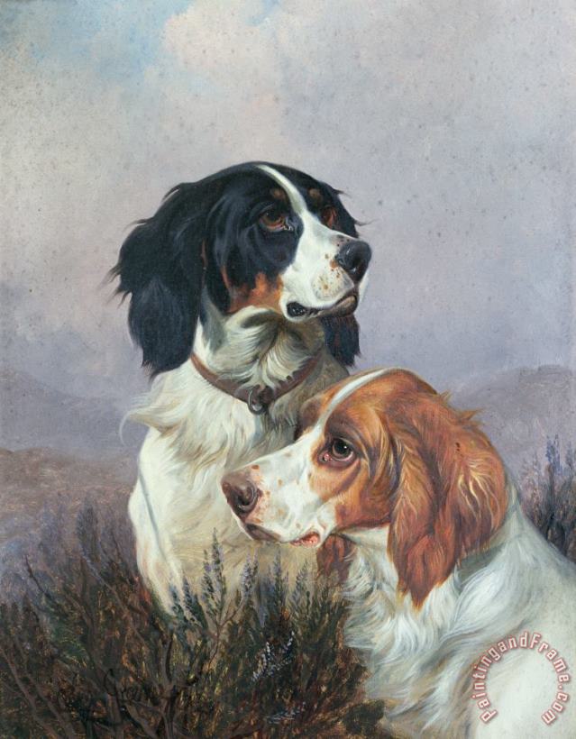 Setters on a Moor painting - Colin Graeme Setters on a Moor Art Print