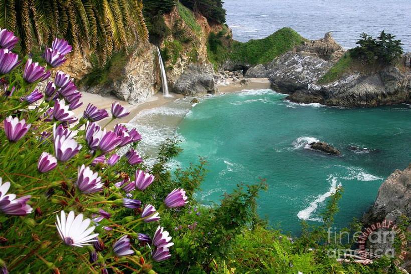 Mcway Falls painting - Collection Mcway Falls Art Print
