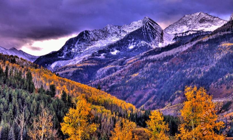 Collection 14 Autumn Snow and Purple Skies Art Print Collection 14 Autumn Snow and Purple Skies Art Print